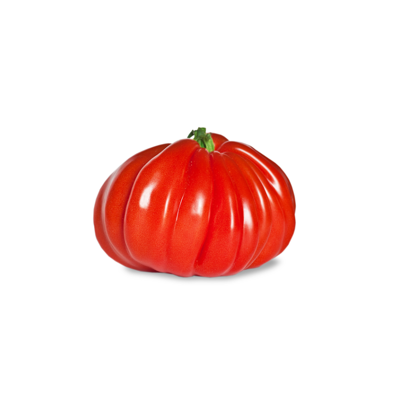 Tomates coeur de boeuf vaudoises